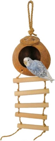 hanging-bird-house-with-laddernatural-coconut-fiber-shell-bird-nest-breeding-for-parrot-parakeet-lovebird-finch-canary-big-1