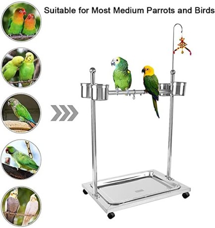 occuwzz-metal-bird-feeder-stand-adjustable-height-rolling-bird-perch-play-stand-parrot-playstand-with-universal-wheels-and-feeding-bowls-big-0