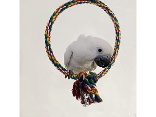 Bluerunk (Round) Cotton Rope Birdcage Swing