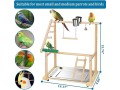 pet-parrot-playstand-parrots-bird-playground-bird-play-stand-wood-perch-gym-playpen-ladder-with-feeder-cups-bells-for-cockatiel-parakeet-small-1