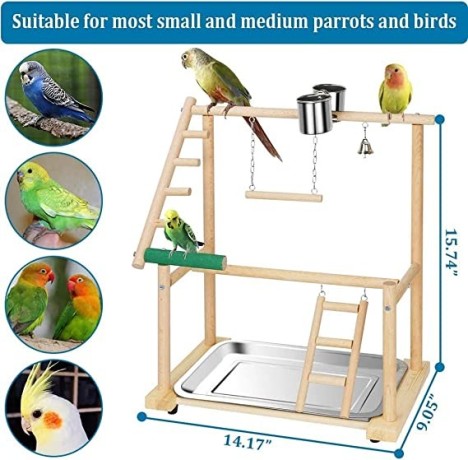 pet-parrot-playstand-parrots-bird-playground-bird-play-stand-wood-perch-gym-playpen-ladder-with-feeder-cups-bells-for-cockatiel-parakeet-big-1