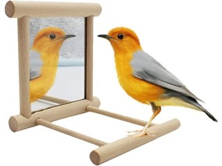 Landove Bird Stand Perch with Mirror for Parrot Budgie Parakeet Cockatiels Conure Finch Lovebird African Grey Macaw Amazon Cockatoo Cage Wood Toy