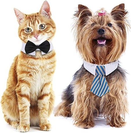 3-pieces-adjustable-pets-dog-cat-bow-tie-pet-costume-necktie-collar-for-small-dogs-puppy-grooming-accessories-s-big-2