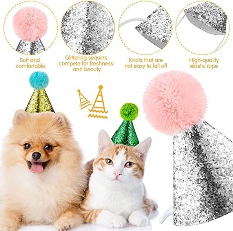 2pcs-dog-birthday-hat-for-pets-party-decoration-supplies-cat-kitten-headband-hats-charms-grooming-accessories-big-2