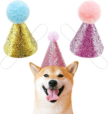 2pcs-dog-birthday-hat-for-pets-party-decoration-supplies-cat-kitten-headband-hats-charms-grooming-accessories-big-1