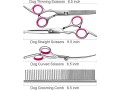 tinmarda-dog-grooming-scissors-kit-with-safety-round-tips-stainless-steel-professional-dog-grooming-shears-set-small-3