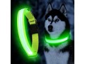 adjustable-flashing-dog-collar-with-green-light-medium-size-40-48cm-25cm-width-telescopic-range-8cm-polyester-webbing-small-1