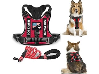 Dog Harness, DMG No-Pull Pet Vest Harness with Adjustable Dog Leash and Collar for Walking and Running
