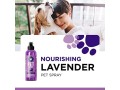 lavender-oil-dog-deodorizing-spray-dog-spray-for-smelly-dogs-and-puppies-and-dog-calming-spray-small-0