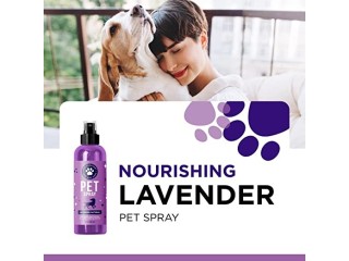Lavender Oil Dog Deodorizing Spray - Dog Spray for Smelly Dogs and Puppies and Dog Calming Spray