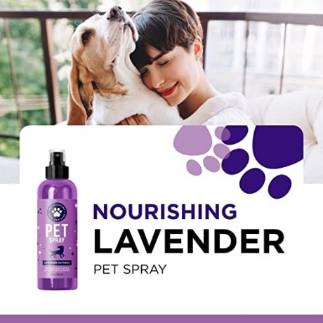 lavender-oil-dog-deodorizing-spray-dog-spray-for-smelly-dogs-and-puppies-and-dog-calming-spray-big-0