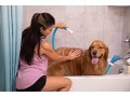 rinseroo-tub-faucet-sprayer-attachment-slip-on-dog-shower-hose-for-bathtub-faucet-small-4