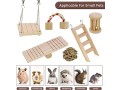 mqforu-hamster-chew-toys-natural-wooden-pine-guinea-pigs-rats-chinchillas-toys-accessories-10pcsset-small-4