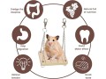 mqforu-hamster-chew-toys-natural-wooden-pine-guinea-pigs-rats-chinchillas-toys-accessories-10pcsset-small-0