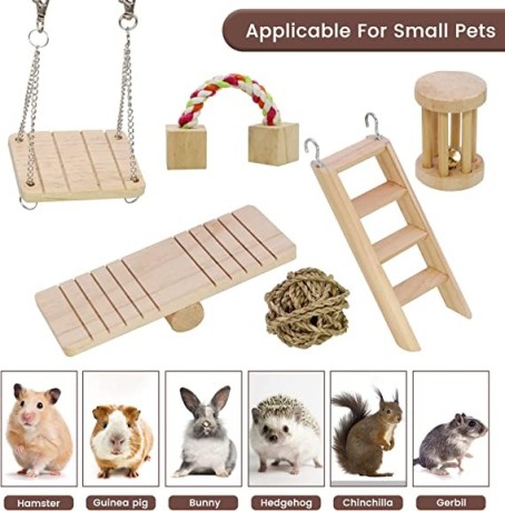 mqforu-hamster-chew-toys-natural-wooden-pine-guinea-pigs-rats-chinchillas-toys-accessories-10pcsset-big-4