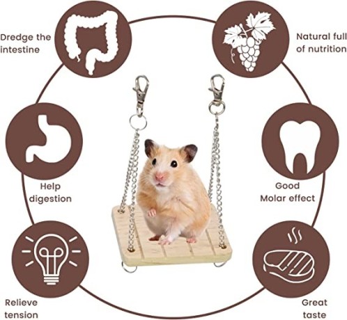 mqforu-hamster-chew-toys-natural-wooden-pine-guinea-pigs-rats-chinchillas-toys-accessories-10pcsset-big-0