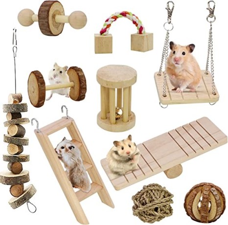 mqforu-hamster-chew-toys-natural-wooden-pine-guinea-pigs-rats-chinchillas-toys-accessories-10pcsset-big-3