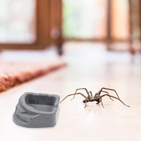 balacoo-8pcs-spiders-feeding-sinks-small-reptile-breeding-basins-reptile-feeding-accessories-big-2