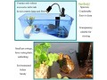 reptile-habitatturtle-habitat-terrapin-lake-reptile-aquarium-tank-with-platform-plants-blueexcluding-accessories-small-0