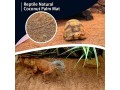 reptile-carpet-natural-coconut-fiber-tortoise-carpet-mat-for-pet-terrarium-liner-reptile-supplies-for-lizard-snake-small-2