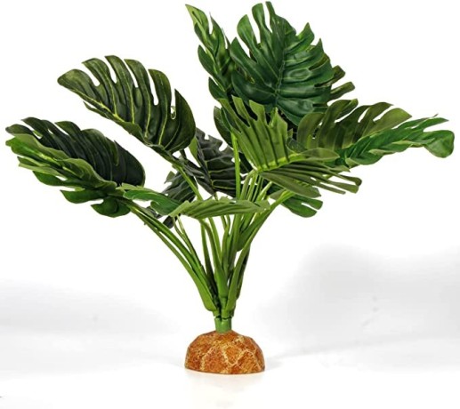 woledoe-monstera-plants-reptile-terrarium-decor-bearded-dragon-tank-accessories-big-1