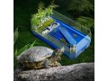 turtle-tank-aquarium-tortoise-habitat-terrarium-enclosure-small-3