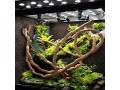 pinvnby-bearded-dragon-hammock-jungle-climber-vines-flexible-reptile-leaves-with-suction-cups-habitat-decor-for-climbing-small-4