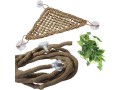 pinvnby-bearded-dragon-hammock-jungle-climber-vines-flexible-reptile-leaves-with-suction-cups-habitat-decor-for-climbing-small-3