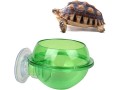 balacoo-2pcs-suction-cup-reptile-feeder-anti-escape-reptile-food-bowl-for-tortoise-gecko-snakes-chameleon-iguana-small-1