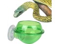 balacoo-2pcs-suction-cup-reptile-feeder-anti-escape-reptile-food-bowl-for-tortoise-gecko-snakes-chameleon-iguana-small-2