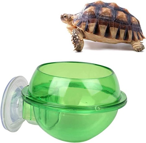 balacoo-2pcs-suction-cup-reptile-feeder-anti-escape-reptile-food-bowl-for-tortoise-gecko-snakes-chameleon-iguana-big-1
