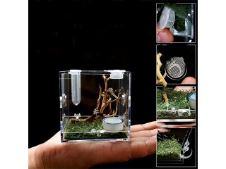 Acrylic Critter Keeper Jumping Spider Enclosure Snail Container House Accessories Reptile