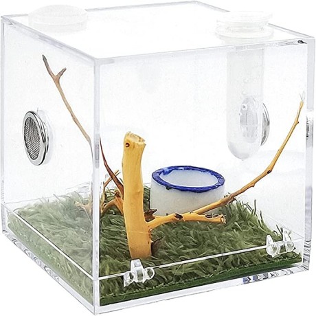 acrylic-critter-keeper-jumping-spider-enclosure-snail-container-house-accessories-reptile-big-2