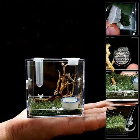 acrylic-critter-keeper-jumping-spider-enclosure-snail-container-house-accessories-reptile-big-0