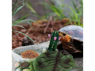 POPETPOP Reptile Water Bowl - Reptile Feeder Food Dish for Tortoise Lizard Frog Leopard Gecko Snake Bearded Dragon Accessories (Random Style)