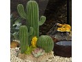 kathson-reptile-tank-decor-lizard-hide-and-cave-plants-terrarium-decorations-resin-cactus-desert-aquarium-tank-small-3