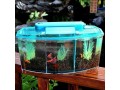 dalizhai777-turtle-tank-reptile-habitatturtle-habitat-terrapin-lake-reptile-aquarium-small-2