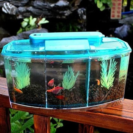 dalizhai777-turtle-tank-reptile-habitatturtle-habitat-terrapin-lake-reptile-aquarium-big-2