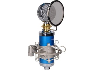 Professional Studio Microphone, Used for Broadcast Live Music Recording