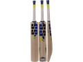 short-handle-super-power-ss-kashmir-willow-leather-ball-cricket-bat-small-1