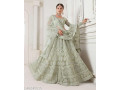 nir-fashion-womens-net-embroidered-semi-stitched-lehenga-choli-ligt-green-free-size-small-1