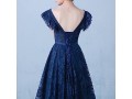 v-neck-sleeveless-womens-evening-gowns-a-line-bridesmaid-dress-small-4