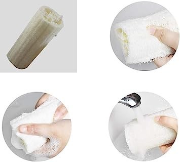 skin-body-brush-improves-skins-health-and-beauty-natural-loofahc-big-1