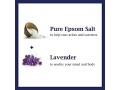 dr-teals-pure-epsom-salt-soothe-and-sleep-with-lavender-136kilogram-small-0