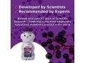 sambucol-natural-black-elderberry-chewable-teddies-vitamin-c-60-count-small-2