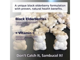 Sambucol Natural Black Elderberry Chewable Teddies | Vitamin C | 60 count