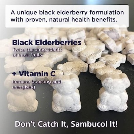 sambucol-natural-black-elderberry-chewable-teddies-vitamin-c-60-count-big-0