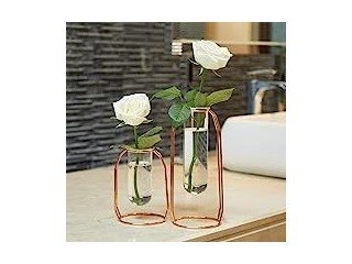 PuTwo Vases Set of 2 Metal Flower Vase Glass Vase Planter Terrariums Gold Vases Rose Gold