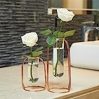 putwo-vases-set-of-2-metal-flower-vase-glass-vase-planter-terrariums-gold-vases-rose-gold-big-0