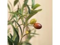 kazeila-artificial-olive-tree-150cm-large-artificial-plant-indoor-with-fruits-fake-silk-olive-plant-in-pot-for-home-decoration1pack-small-2